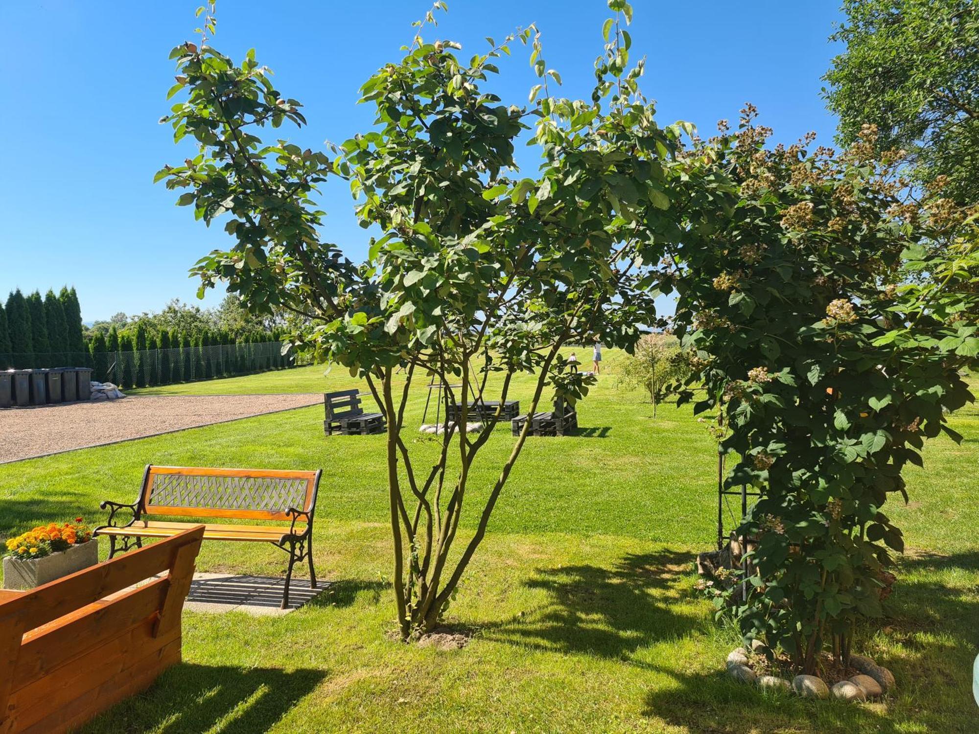 Lawendowy Domek Boutique Resort, Zator, Przeciszow Exterior foto